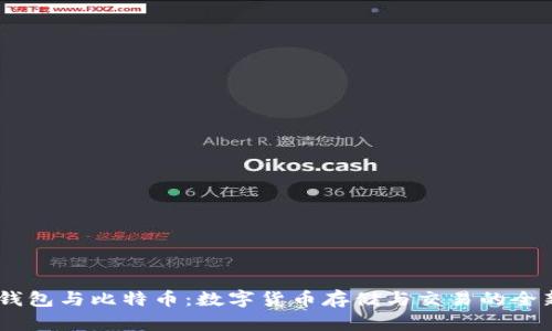 Vpay钱包与比特币：数字货币存储与交易的全新视角