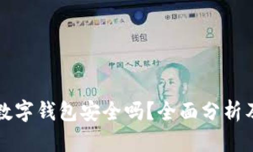 个人现金数字钱包安全吗？全面分析及安全对策