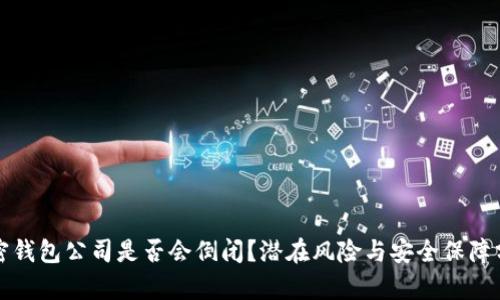 加密钱包公司是否会倒闭?潜在风险与安全保障分析
