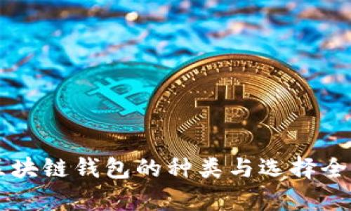 中国区块链钱包的种类与选择全面解析
