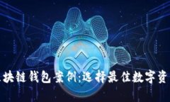 全面解析区块链钱包案例：选择最佳数字资产存