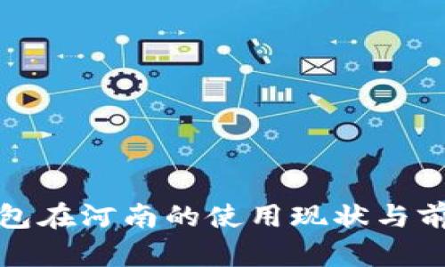 数字钱包在河南的使用现状与前景分析