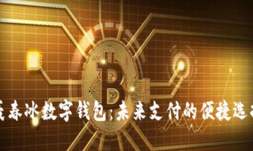 聂春冰数字钱包:未来支付的便捷选择