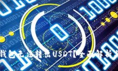 为什么冷钱包无法转出USDT？全面解析与解决方案