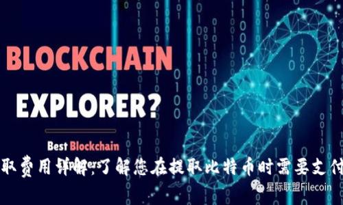 比特币钱包提取费用详解：了解您在提取比特币时需要支付的费用和因素