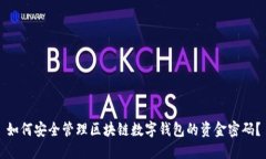 如何安全管理区块链数字钱包的资金密码？