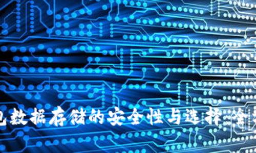 数字钱包数据存储的安全性与选择：全方位解析