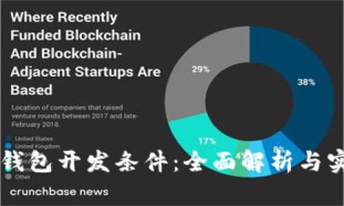 区块链钱包开发条件：全面解析与实践指南