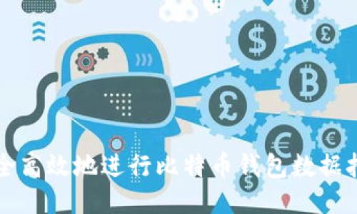 如何安全高效地进行比特币钱包数据打包下载