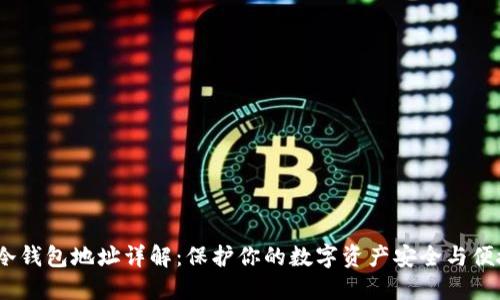 USDT冷钱包地址详解：保护你的数字资产安全与便捷使用