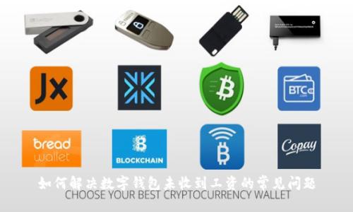 如何解决数字钱包未收到工资的常见问题