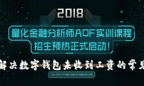 如何解决数字钱包未收到工资的常见问题