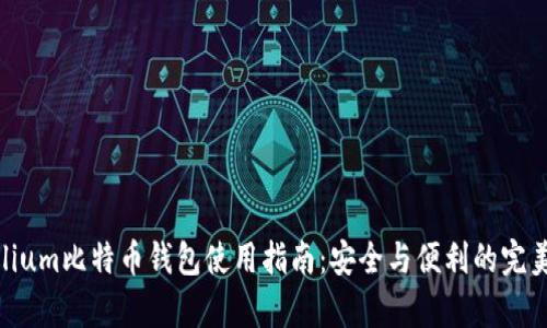 Mycelium比特币钱包使用指南：安全与便利的完美结合