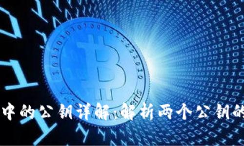 比特币钱包中的公钥详解：解析两个公钥的意义与使用